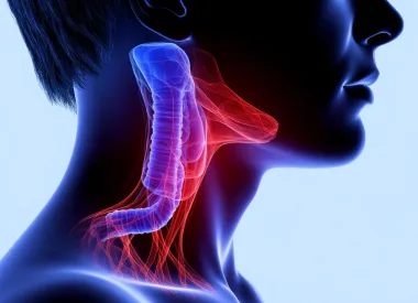 Проведение МРТ гортани