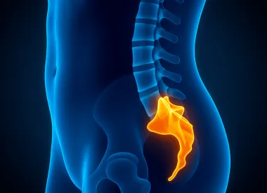 Копчик человека